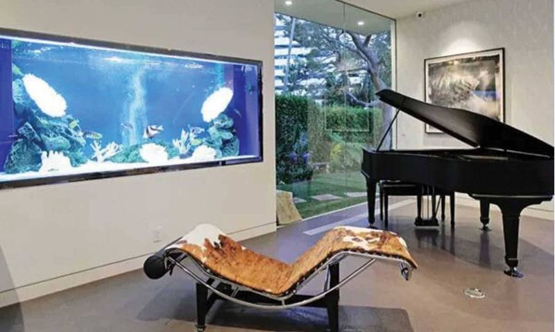 Acrylic Aqaurium | See Through Aquarium | Aquarium in Chennai| Aqaurium Desiger in India