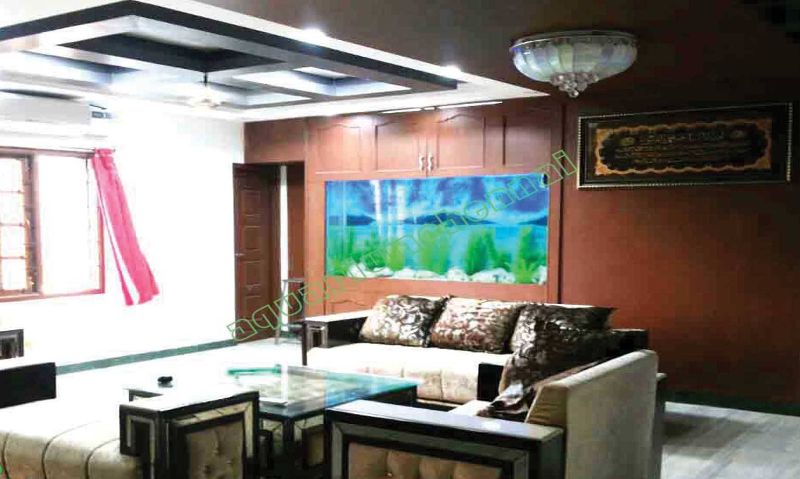 Acrylic Aquarium in Chennai | Online Aquarium Chennai