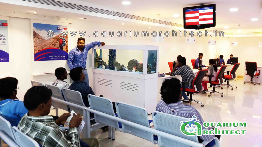 Marine Aquarium | Aquarium in chennai