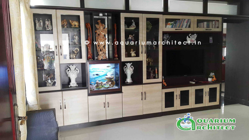 Plasma aquariums | Aquarium Architect | Aquarium Chennai | Aquarium in chennai | Designer aquarium in chennai | Custom Aquariums