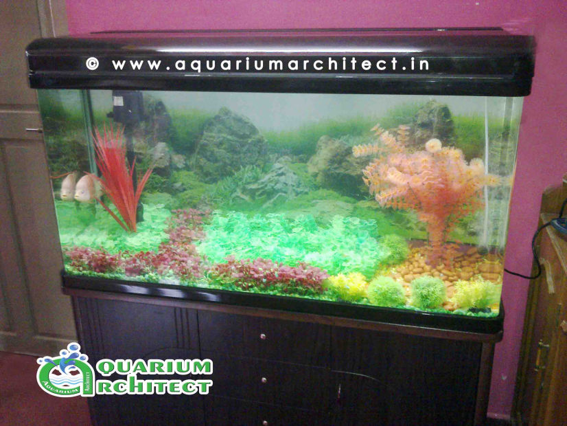 Artificial Gaarden Aquarium 