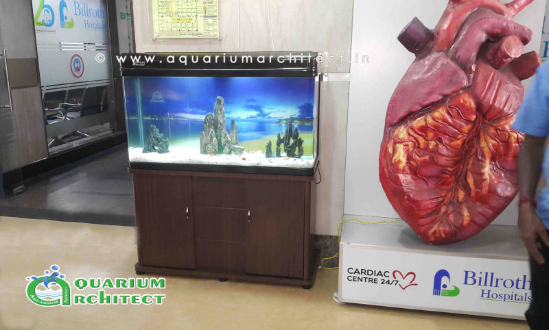 Aquuarium | Imported Aquarium at Bill Rooth Hospital | Aquarium Chennai | Aquarium Architect | designer in india