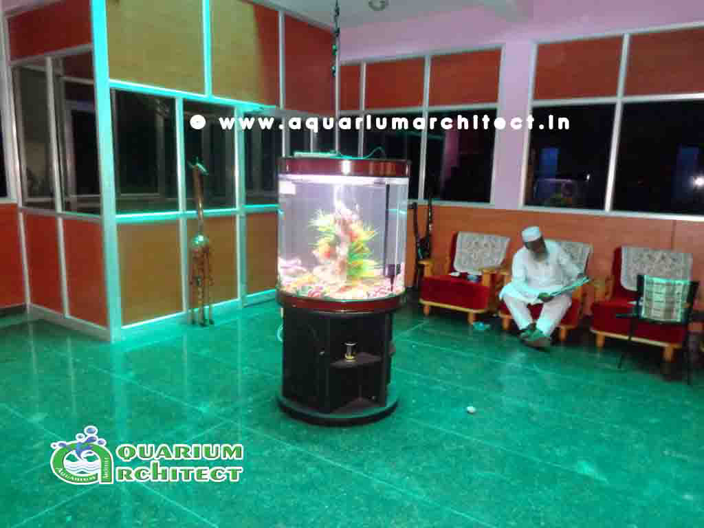 Cylindrical Aquarium | Aquarium Chennai | Cylindrical aquarium in chennai, cylindrical aquarium model