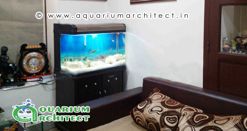 Marine Aquarium in Free standing aquarium | Aquarium Chennai | Aquarium architect | www.aquariumarchitect.in
