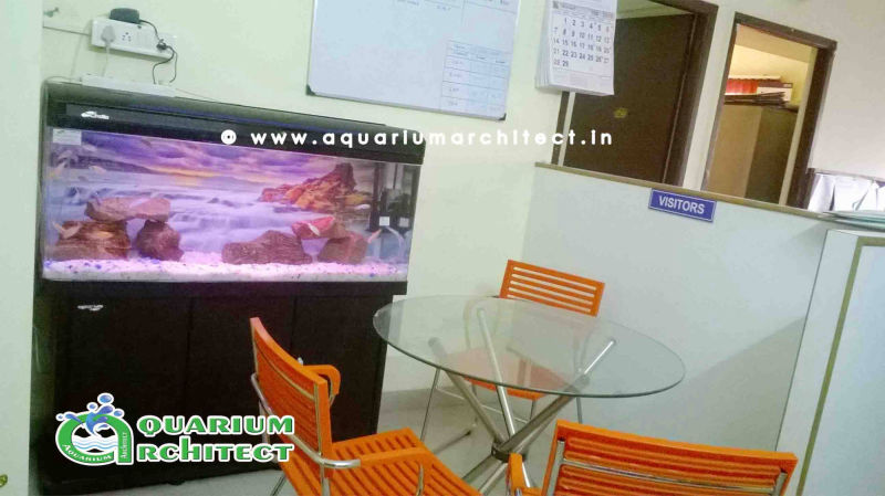 Aquarium | Aquarium Chennai | Rocks setting aquarium | Free standing aquarium | Imported aquarium