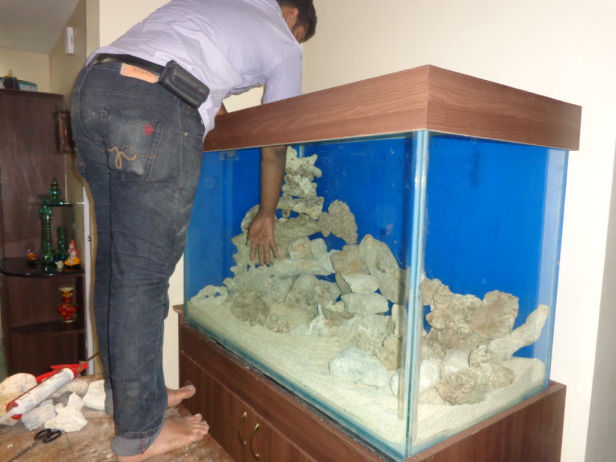 business plan for aquarium maintenance