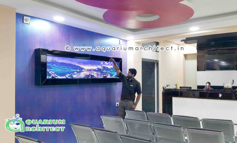 Plasma aquarium in india | Aquarium Architect | Aquarium Chennai | Aquarium in chennai | Designer aquarium in chennai | Custom Aquariums