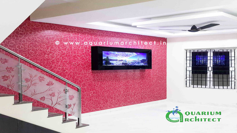 Plasma Aquarium in Chennai | Aquarium Chennai | Huge Plasma Aquarium | Aquarium Chennai | Aquarium Architect | plasma aquarium in india | designer aquarium | best aquarium in chennai | aquarium