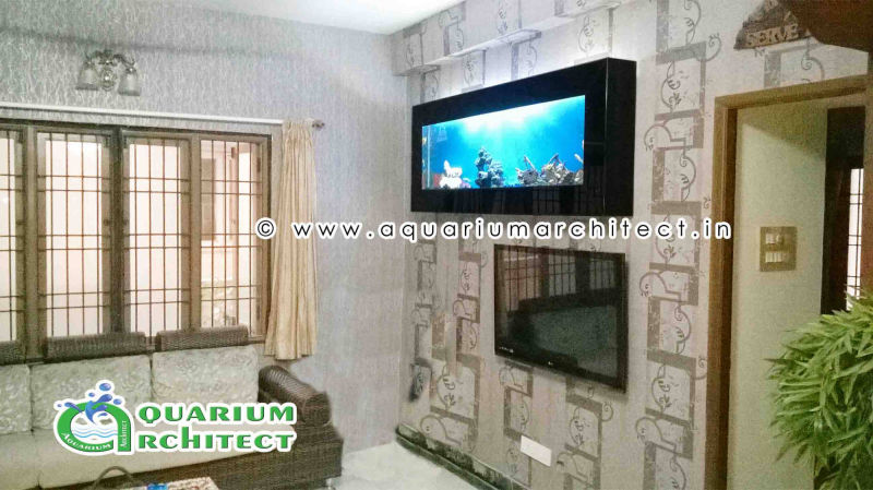 Plasma Aquarium in india chennai | Aquarium Chennai | Huge Plasma Aquarium | Aquarium Chennai | Aquarium Architect | plasma aquarium in india | designer aquarium | best aquarium in chennai | aquarium
