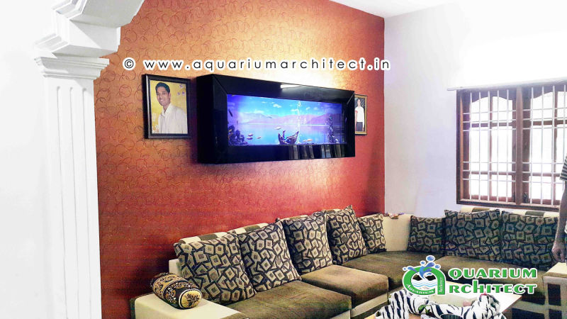 Plasma aquarium |  Aquarium Architect | Aquarium Chennai | Aquarium in chennai | Designer aquarium in chennai | Custom Aquariums