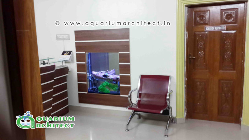 Customised Aquarium In India| Aquarium Designer in Chennai | aquariumchennai.com