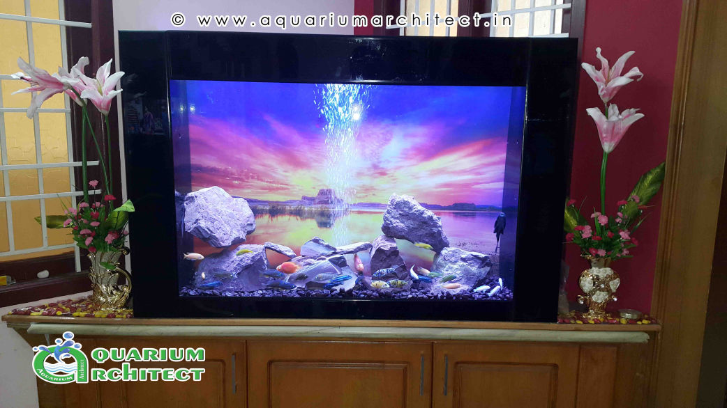 Rock Setting Aquarium | Aquarium | Aquarium in chennai