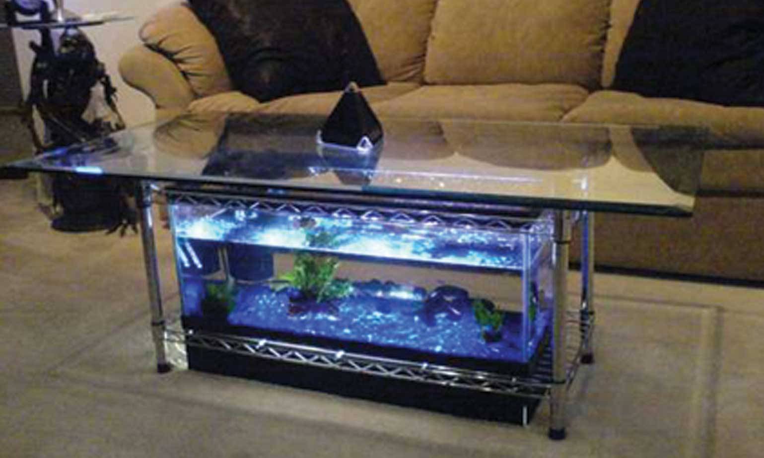 Tea Table rectangle Aquarium | Aquarium in Chennai