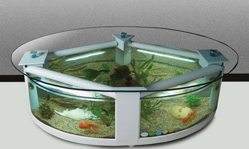 Roung Tea table Aqaurium | Aquarium Chennai