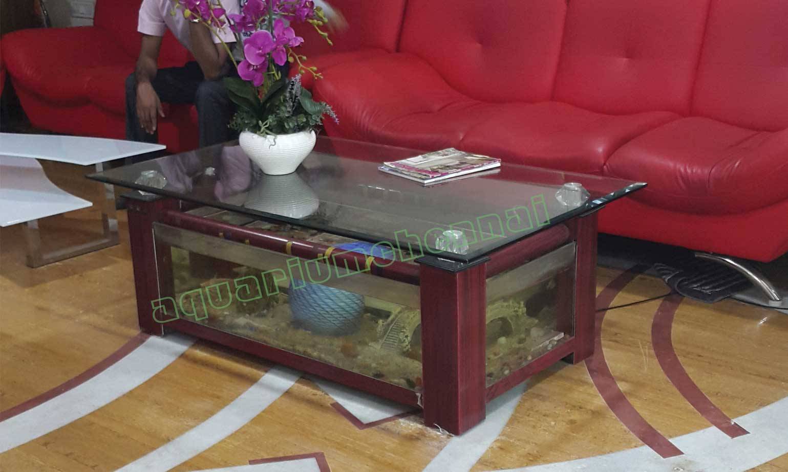Poomalai Housing Tea Table aquarium in Chennai | Aquarium Chennai