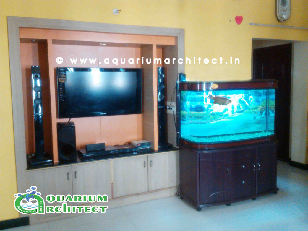 Vastu Aquarium in chennai | Aquarium architect